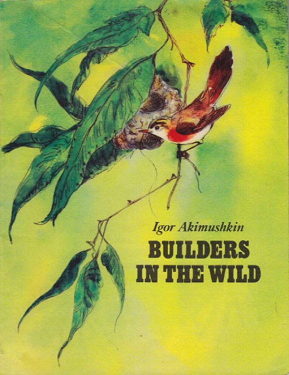 Image for Builders in the Wild Builders in the Wild