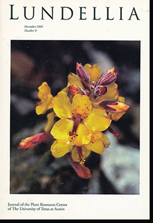 Image for Lundellia (December 2004, No. 7) Lundellia (December 2004, No. 7)