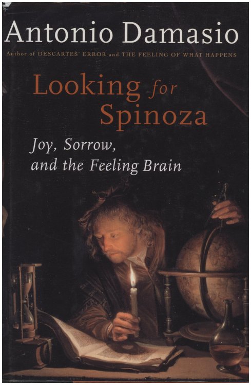 Looking for Spinoza: Joy, Sorrow, and the Feeling Brain