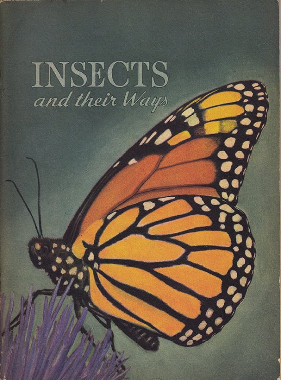 Insects and Their Ways (The Basic Science Education Series)