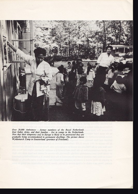 The Netherlands: Social Aspects, Social Work