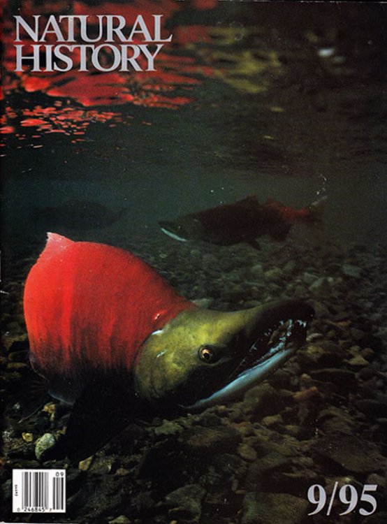 Natural History 5/95 (Vol. 104, No. 9, Sept 1995)