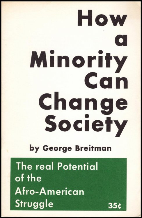 How a Minority Can Change Society: The Real Potential of the Afro-American Struggle