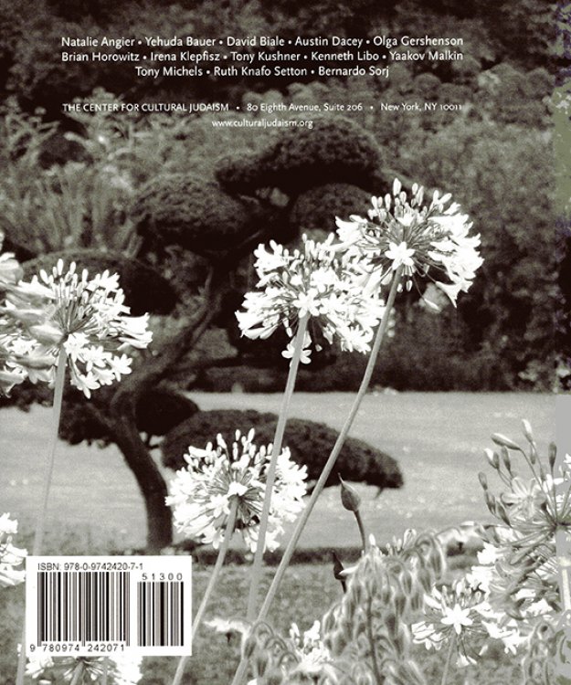 Contemplate: The International Journal of Cultural Jewish Thought (Issue 5)