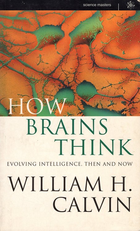 How Brains Think: Evolving Intelligence, Then and Now