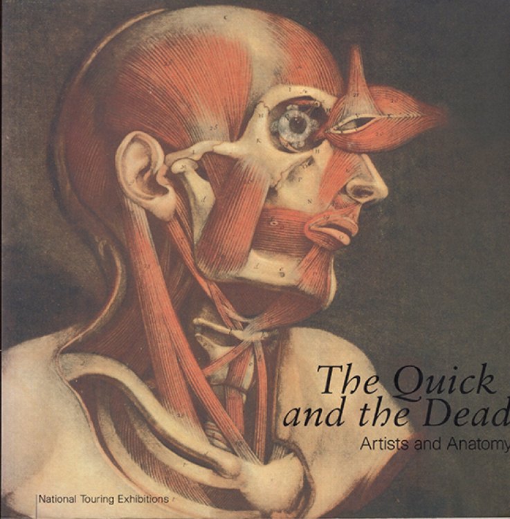 Quick and the Dead Artists and Anatomy