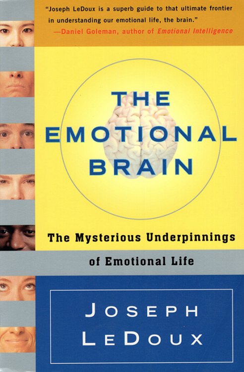The Emotional Brain: The Mysterious Underpinnings of Emotional Life