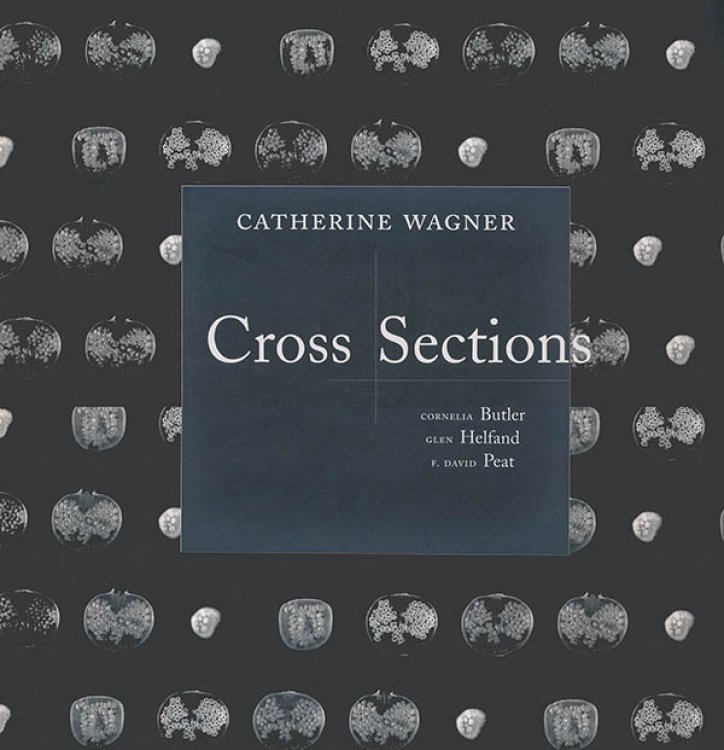 Cross Sections