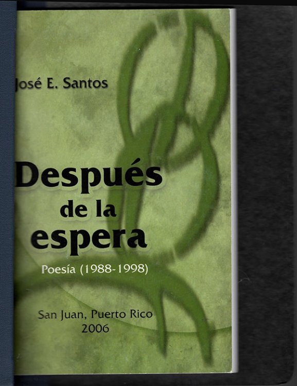 Despues de la espera Poesia (1988-1998): Prologo de Carmen Rivera Villegas