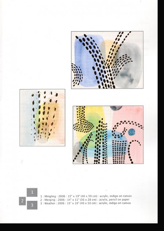 Sarah Sutro Recent Work 2006-2007