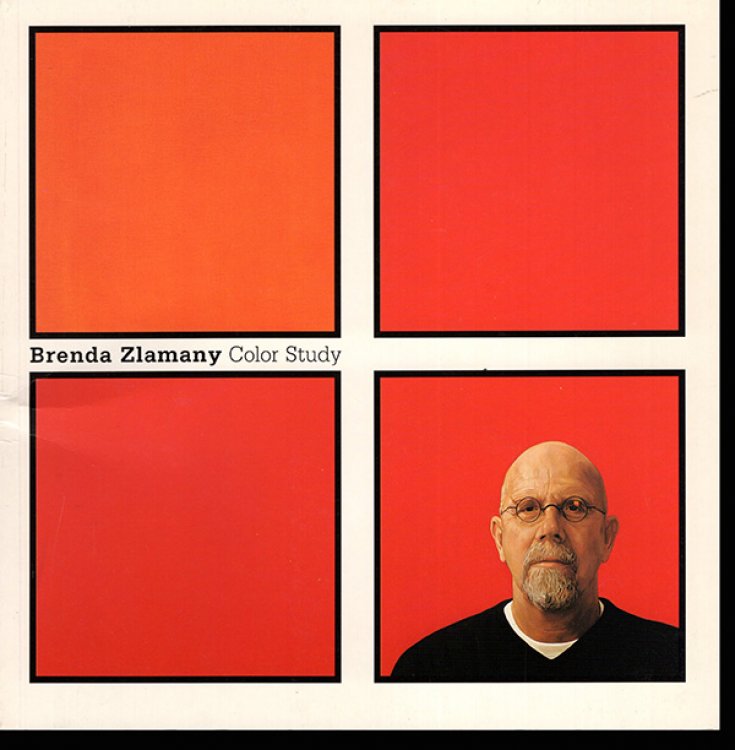 Brenda Zlamany Color Study