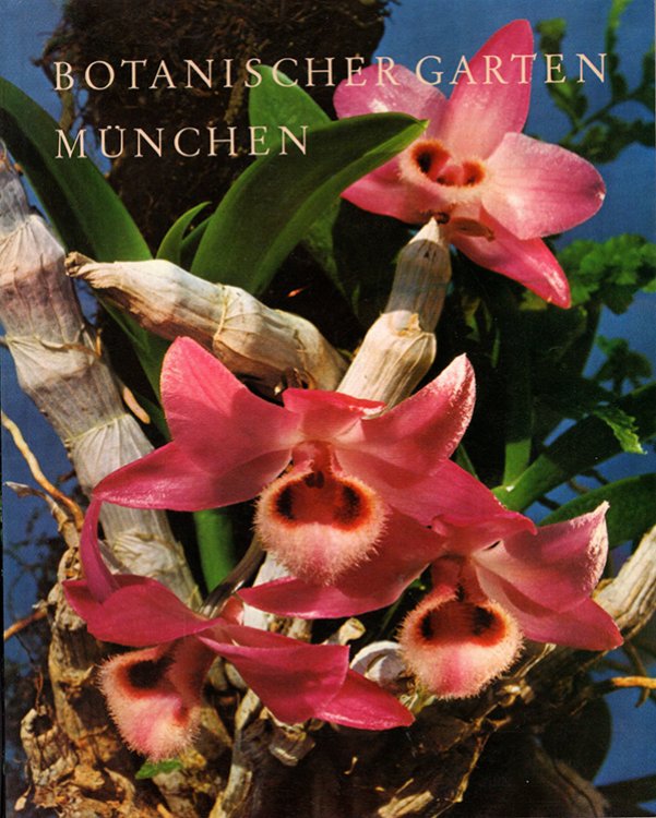 Botanischer Garten Munchen
