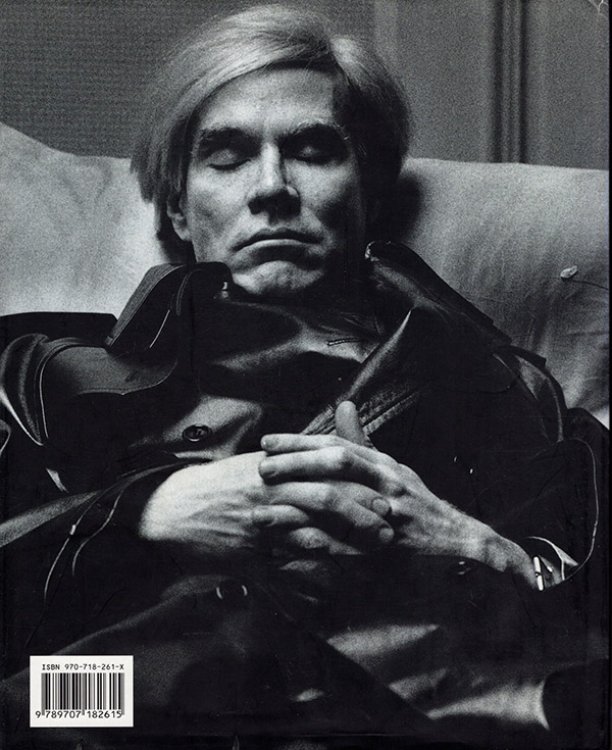 Warhol: Spanish-Language Edition (Artistas serie menor) (Spanish Edition)