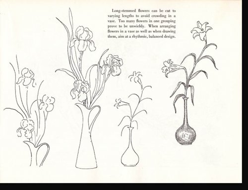 Drawing Flowers (Pitman 12)
