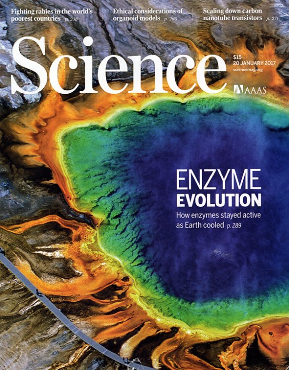 Science Magazine (Volume 355, No. 6322, 20 January 2017)