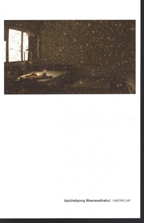 Apichatpong Weerasethakul (Matrix 247 Gallery Guide)