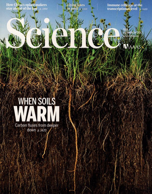 Science Magazine (Volume 355, No. 6332, 31 March 2017)