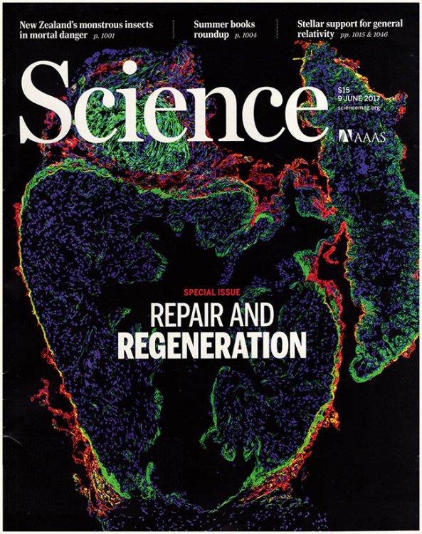 Science Magazine (Volume 356, No. 6342, 9 June 2017)