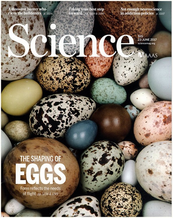Science Magazine (Volume 356, No. 6344, 23 June 2017)