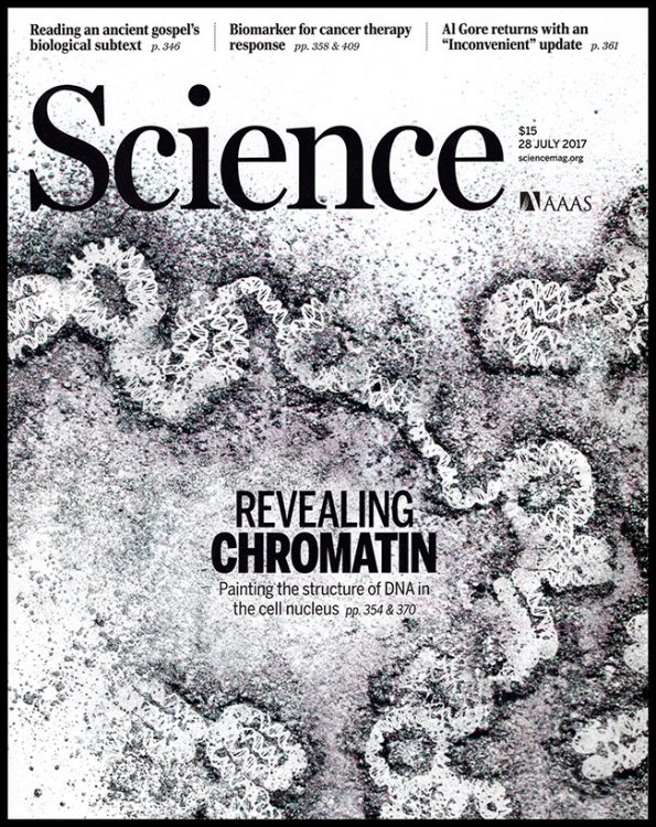 Science Magazine (Volume 357, 6349, 28 July 2017)