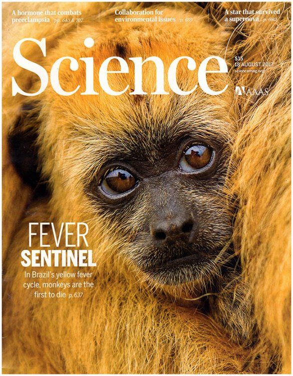Science Magazine (18 August 2017, Volume 357, 6352)
