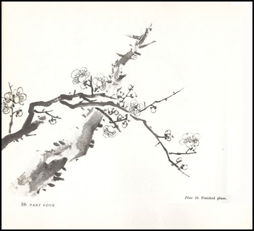 Japanese Ink Painting: Lessons in Suiboku Technique