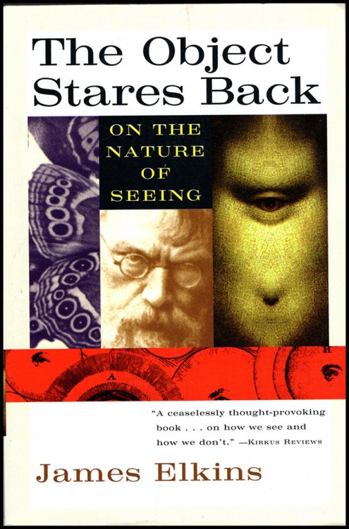 The Object Stares Back: On the Nature of Seeing