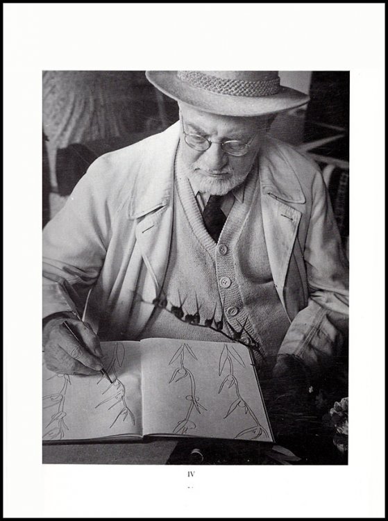Henri Matisse Hommage