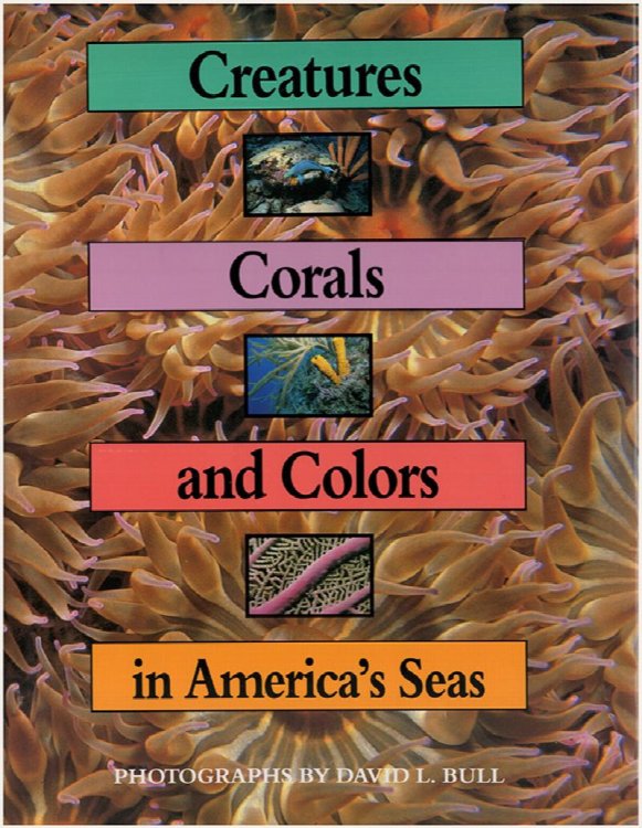 Creatures, Corals, and Colors in America's Seas