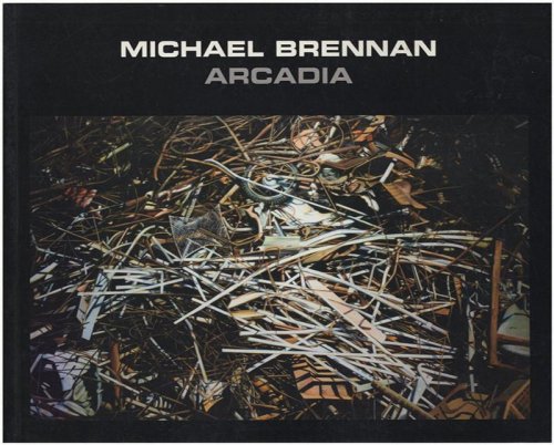 Michael Brennan: Arcadia (Oil Paintings on Canvas, 2008)