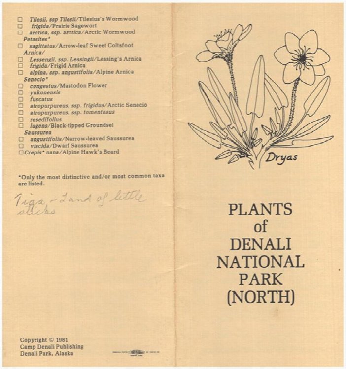 Plants of Denali National Park (North)