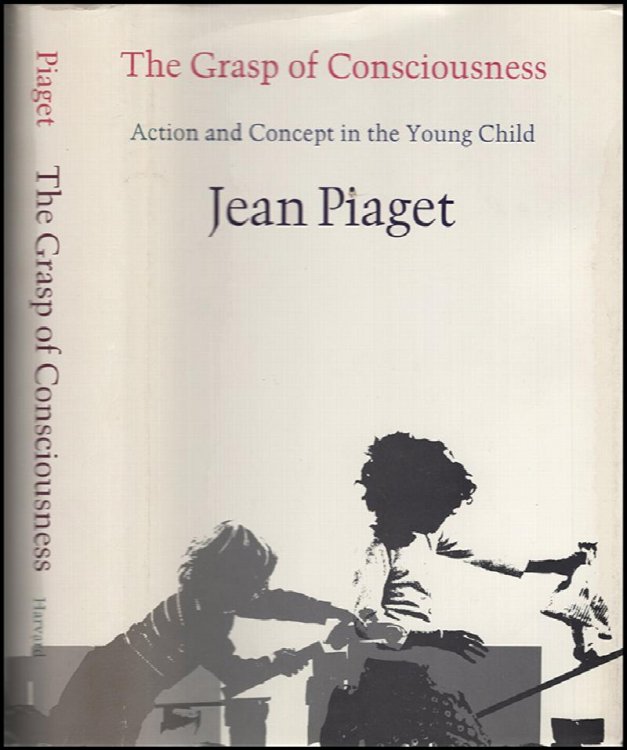 Grasp of Consciousness: Action and Concept in the Young Child