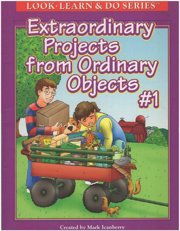 Extraordinary Projects from Ordinary Objects (Look Learn and Do Series)