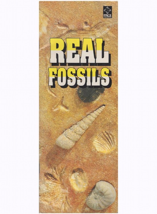 Real Fossils: A Guide for the Beginning Fossil Collector
