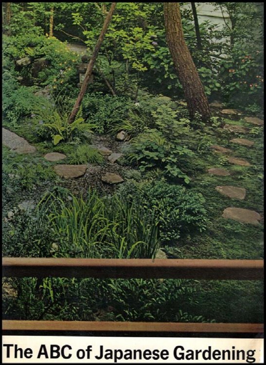 The ABC of Japanese Gardening
