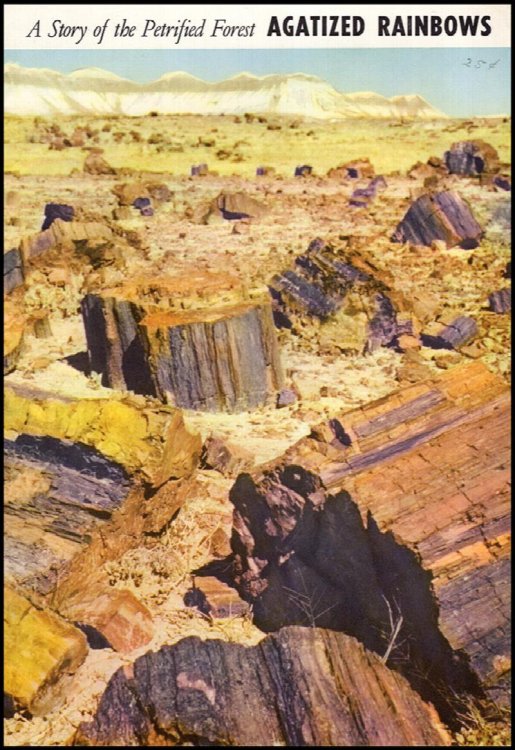 Agatized Rainbows: A Story of the Petrified Forest (Popular Series No. 3)