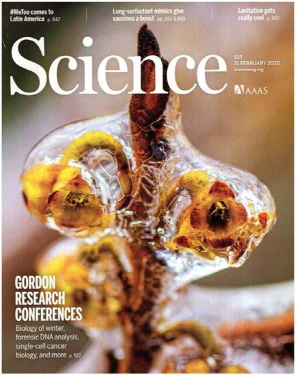 Science Magazine (Vol 367, No. 6480, 21 February 2020)