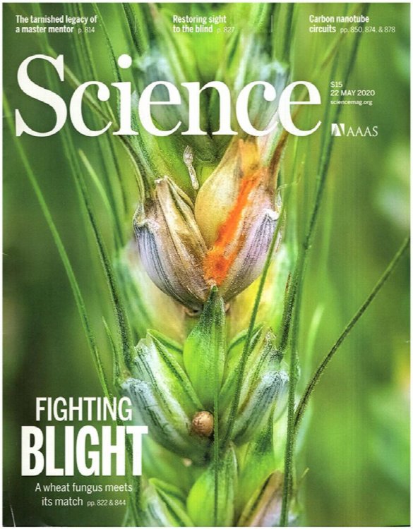 Science Magazine (Vol 368, No. 6493, 22 May 2020)