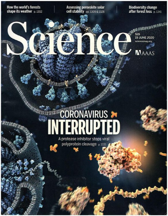 Science Magazine (Vol 368, No. 6497, 19 June 2020)