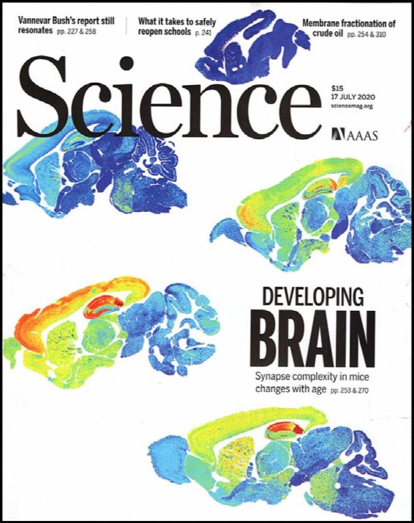 Science Magazine (Vol 369, No. 6501, 17 July 2020)
