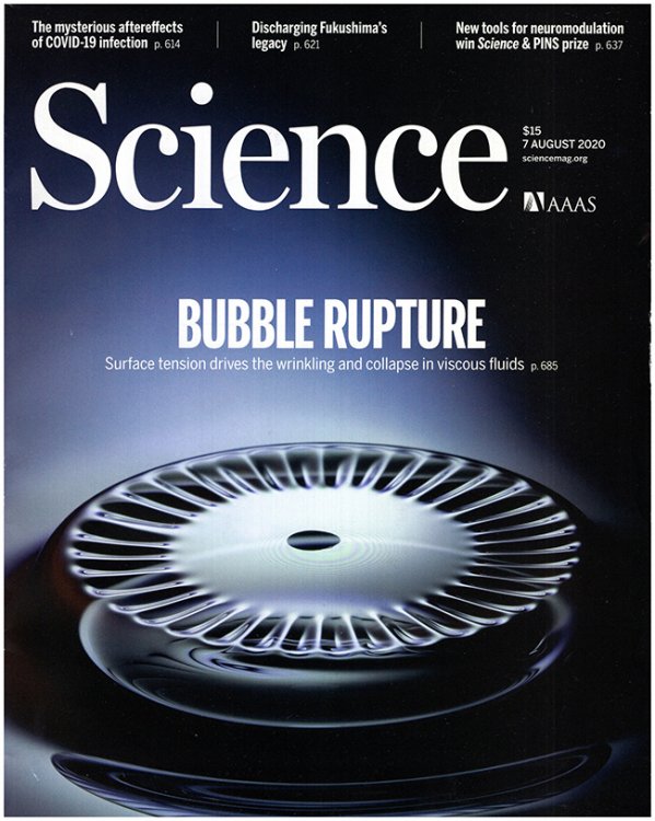 Science Magazine (Vol 369, No. 6504, 7 August 2020)