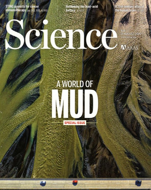 Science Magazine (Vol 369, No. 6506, 21 August 2020)