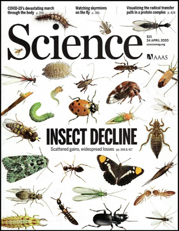 Science Magazine (Vol 368, No. 6489, 24 April 2020)