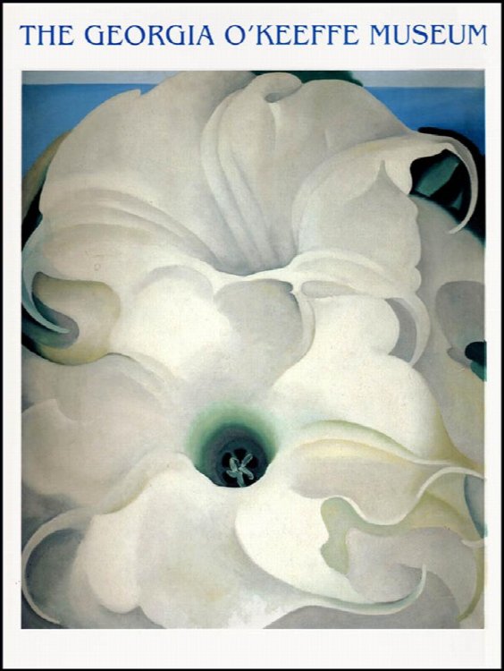 The Georgia O'Keeffe Museum