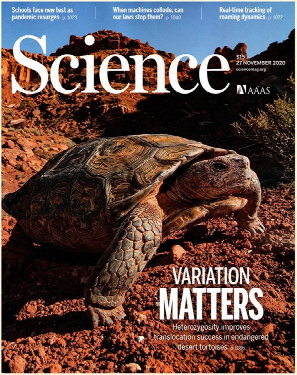 Science Magazine (4 November 2020 issues, Vol 370)
