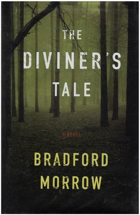 The Diviner's Tale: A Novel