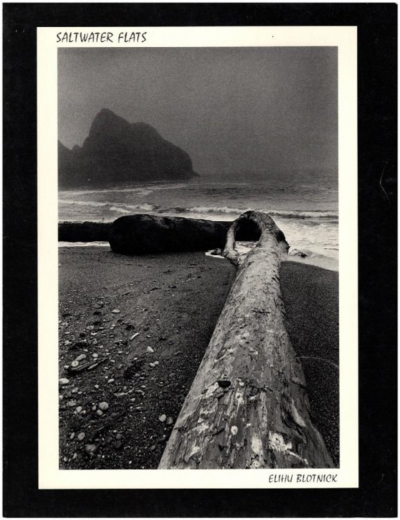 Saltwater Flats: A Silent Film