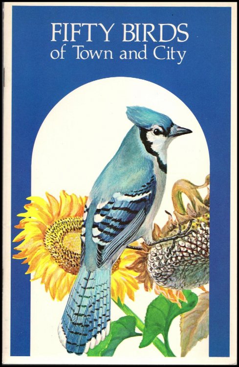 Fifty Birds of Town and City