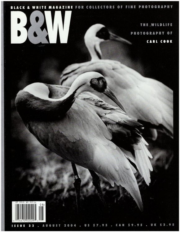 Black and White Magazine: Wildlife Photography of Carl Cook (Issue 32, August 2004)