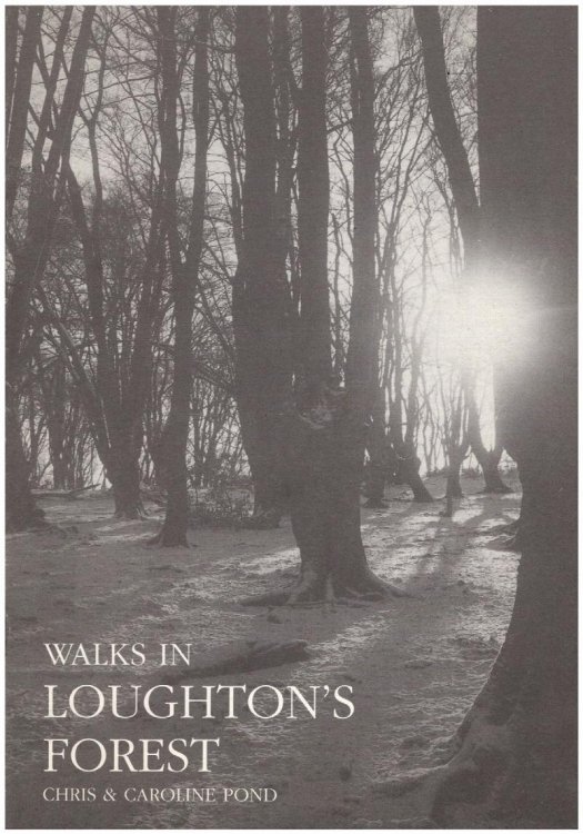 Walks in Loughton's Forest